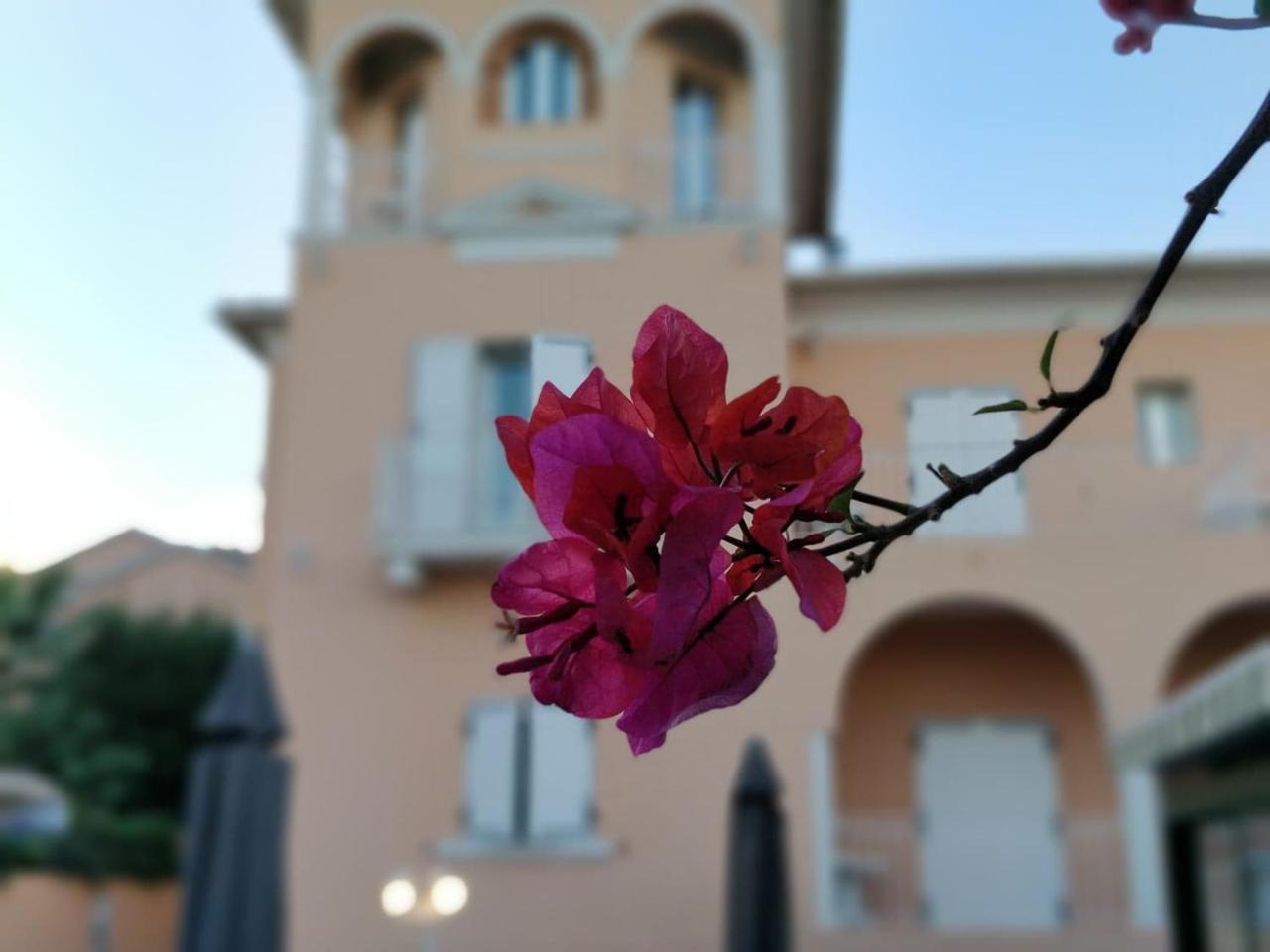רוקברון-קאפ-מרט Hotel Et Appartements Reine D'Azur מראה חיצוני תמונה